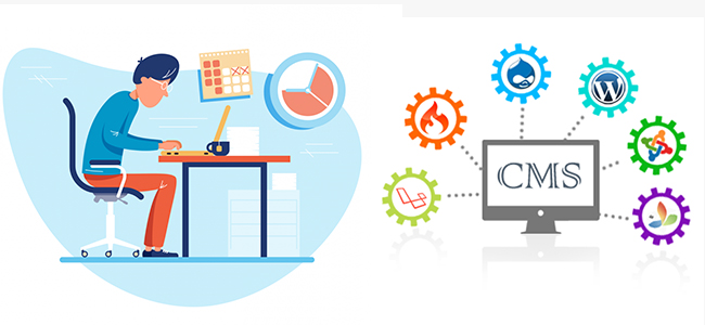 Best CMS Devlopment Company India